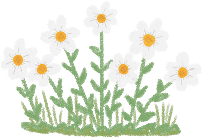 the garden of little daisies