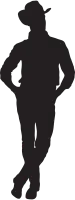 Cowboy Silhouette
