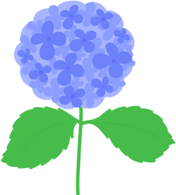 수국꽃