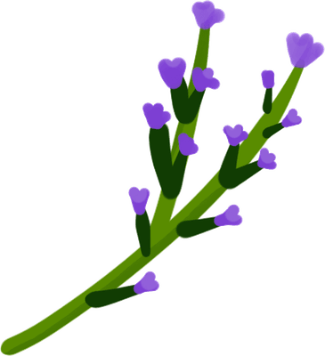 보라색 꽃