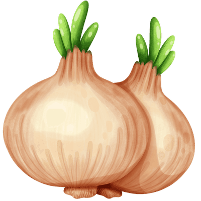 Onion