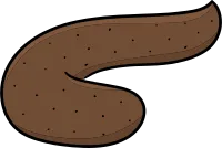 Illustration of poop