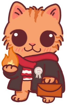 Wizard Cat