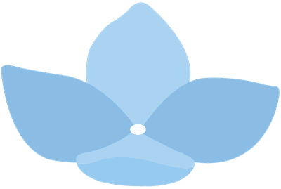 수국꽃