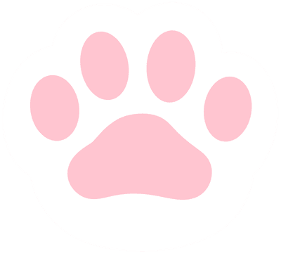 고양이 발바닥