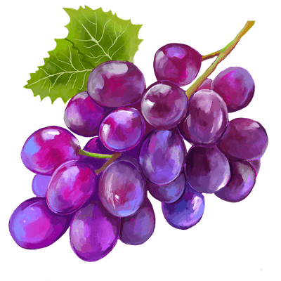 fruit painting