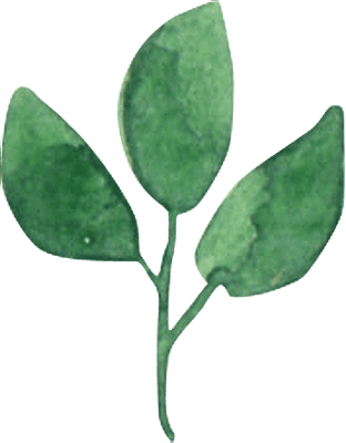 Watercolor Green Leaf with Stem