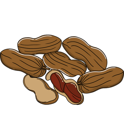 Peanuts