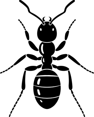 Ant