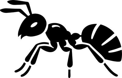 Ant