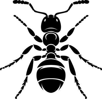 Ant