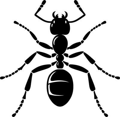 Ant