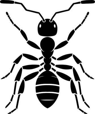 Ant