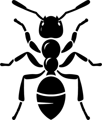 Ant