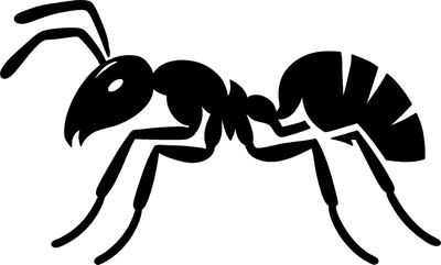 Ant