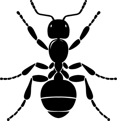Ant