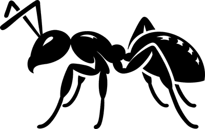 Ant