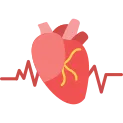 Cardiology icon