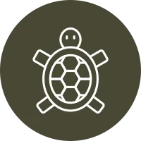 Turtle Vector Icon Design