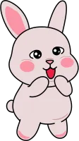 rabbit