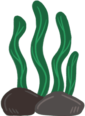 Plain seaweed