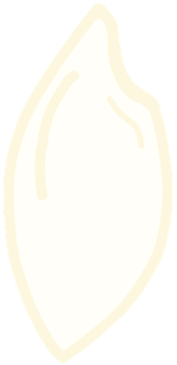 쌀알