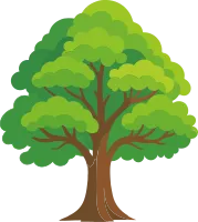 2507_trees