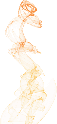 불008