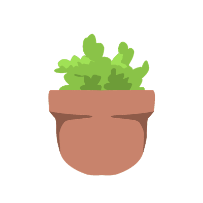 Green plant on pot