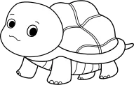 turtle