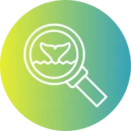 Whale Watching icon