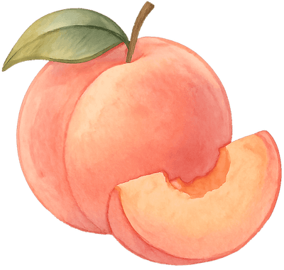 여름과일 수채화 과일 일러스트 여름 fruit 감성 일러스트 블루베리 딸기 자몽 자두 복숭아 과일바구니 png