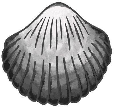 꼬막