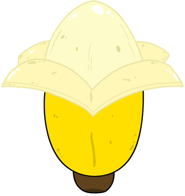 바나나 (banana)
