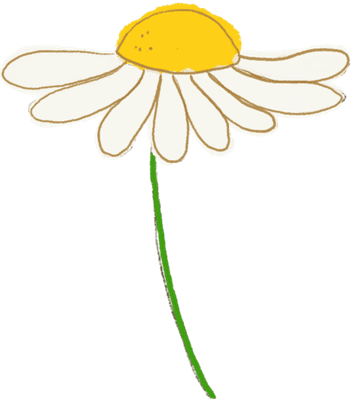 Daisy