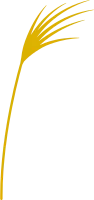 すすき