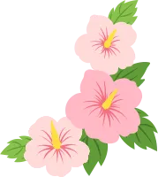 무궁화-배경-일러스트-국화