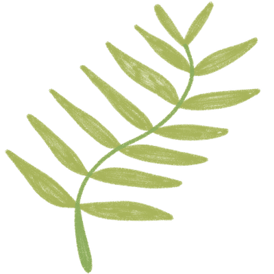 Fern Botanical Line Art