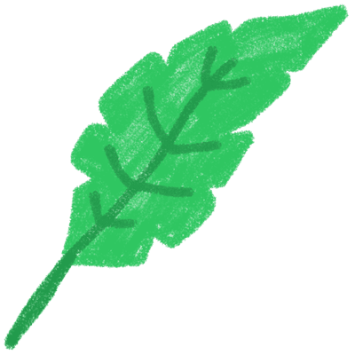 Green Jungle Leaf Illustration