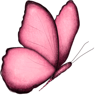 Butterfly pink