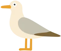 새