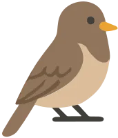 새