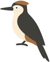 새