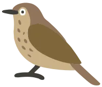 새