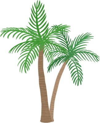 야자수 palm tree