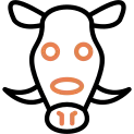 Wild Boar Icon