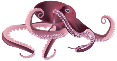 Octopus PNG Transparent