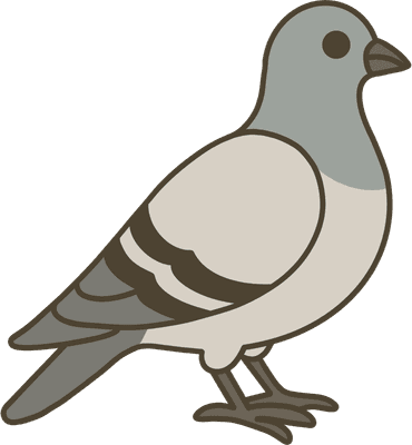 비둘기 pigeon 조류 새
