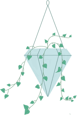Hand drawn Decorative plants
