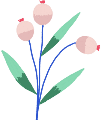 Hand drawn Decorative plants